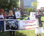 Manchester Puppy Farm Awareness Day Rally